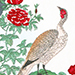 Rinsai Shiba Gallery